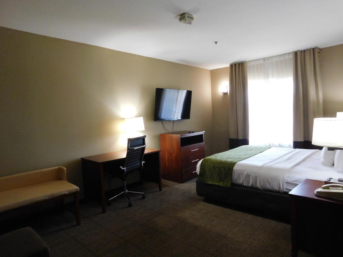 Comfort Inn & Suites Sacramento - University Area Ngoại thất bức ảnh