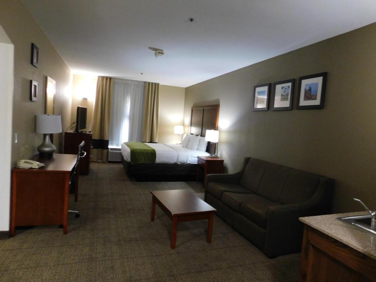 Comfort Inn & Suites Sacramento - University Area Ngoại thất bức ảnh
